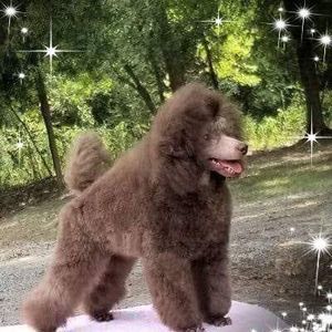 Meet your Posher, Mae